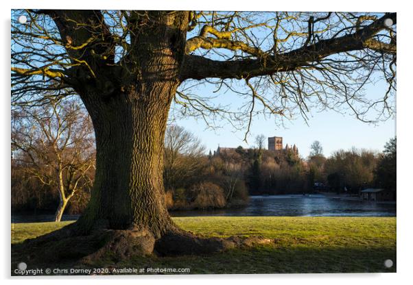 St. Albans Cathedral Viewed from Verulamium Park Acrylic by Chris Dorney