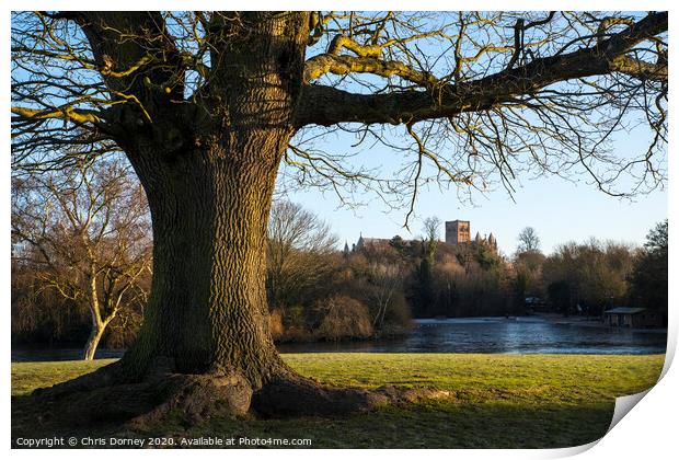 St. Albans Cathedral Viewed from Verulamium Park Print by Chris Dorney