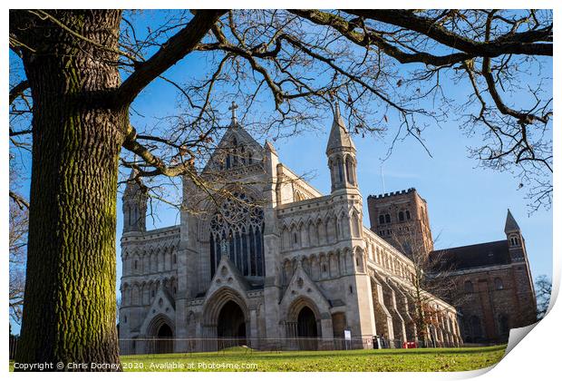 St. Albans Cathedral Print by Chris Dorney