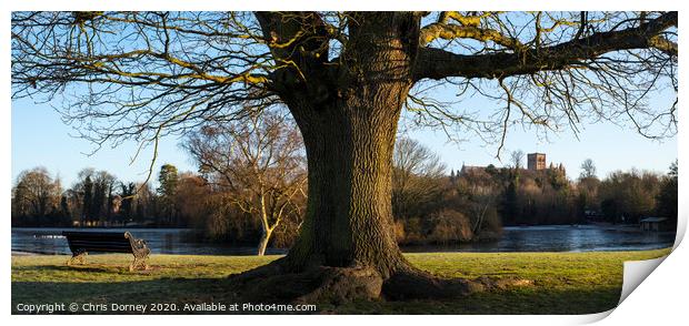 St Albans in England Print by Chris Dorney