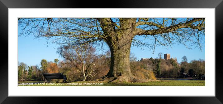St. Albans in England Framed Mounted Print by Chris Dorney