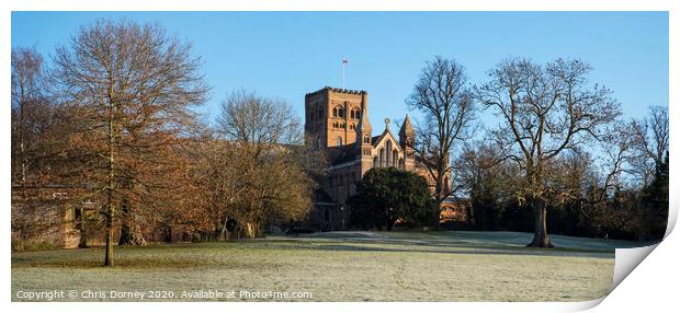 St. Albans Cathedral Print by Chris Dorney