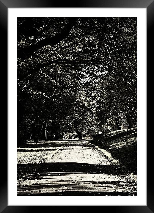 Through the Park Framed Mounted Print by richard downes
