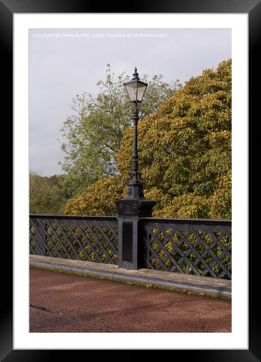 Lamppost in Autumn  Framed Mounted Print by Aimie Burley