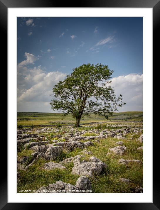 The Lone tree of malhamdale Framed Mounted Print by kevin cook