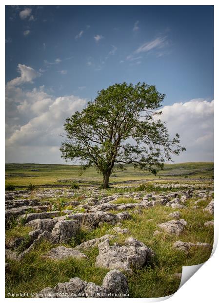 The Lone tree of malhamdale Print by kevin cook