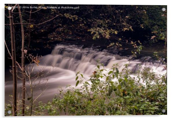 Jesmond Dene Waterfalls  Acrylic by Aimie Burley