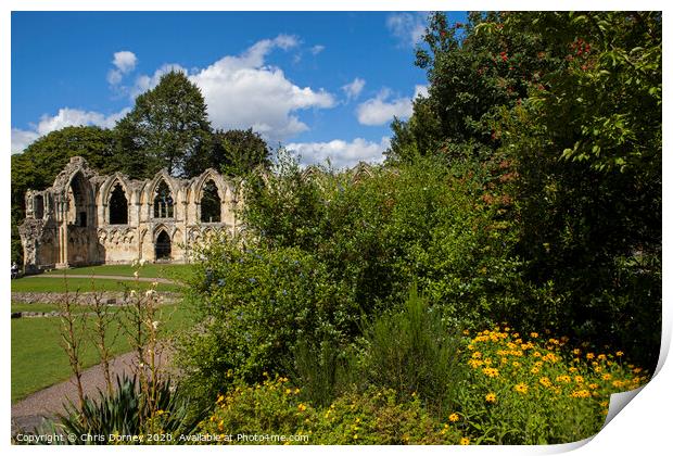 St. Mary's Abbey Ruins in York Print by Chris Dorney