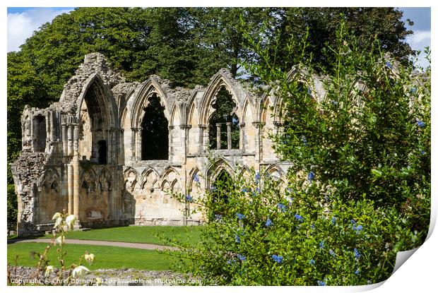 St. Mary's Abbey Ruins in York Print by Chris Dorney