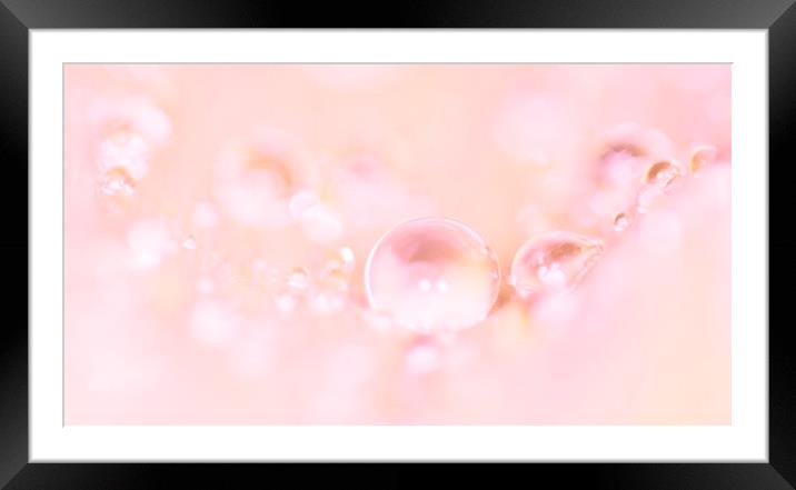 Pink Beads Framed Mounted Print by Kelly Bailey