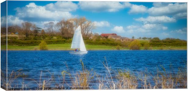 Dreams of Summer Canvas Print by David Tyrer