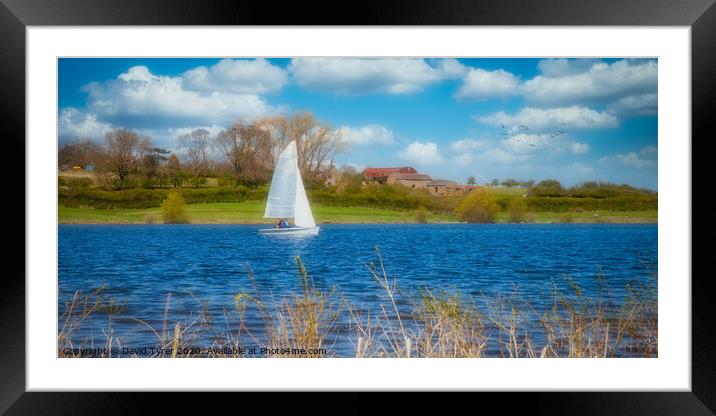 Dreams of Summer Framed Mounted Print by David Tyrer