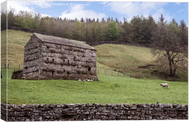 Yorkshire Dales farm building Canvas Print by Kevin White