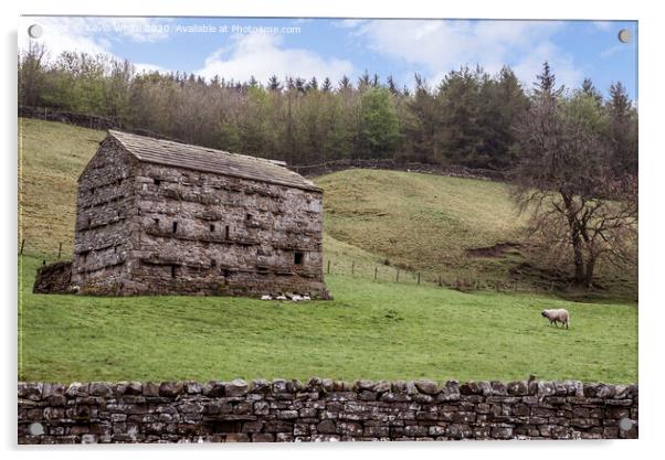 Yorkshire Dales farm building Acrylic by Kevin White
