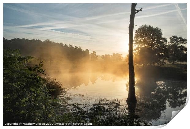 Outdoor  Print by Matthew Gibson