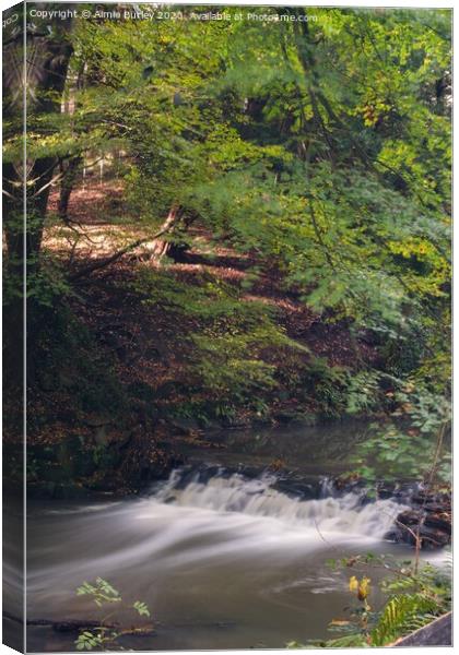 Waterfall  Canvas Print by Aimie Burley