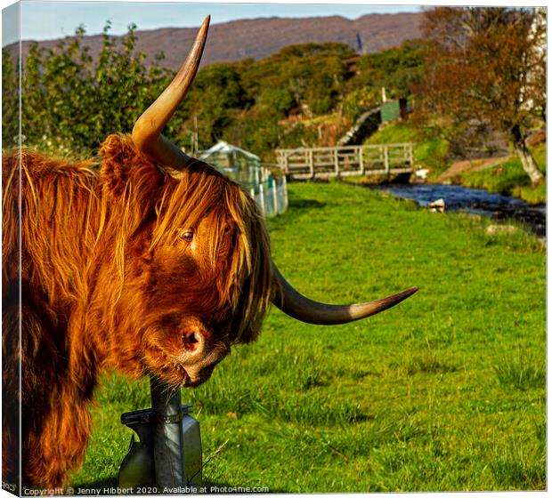 Highland cow enjoying a scratch on sign post Canvas Print by Jenny Hibbert