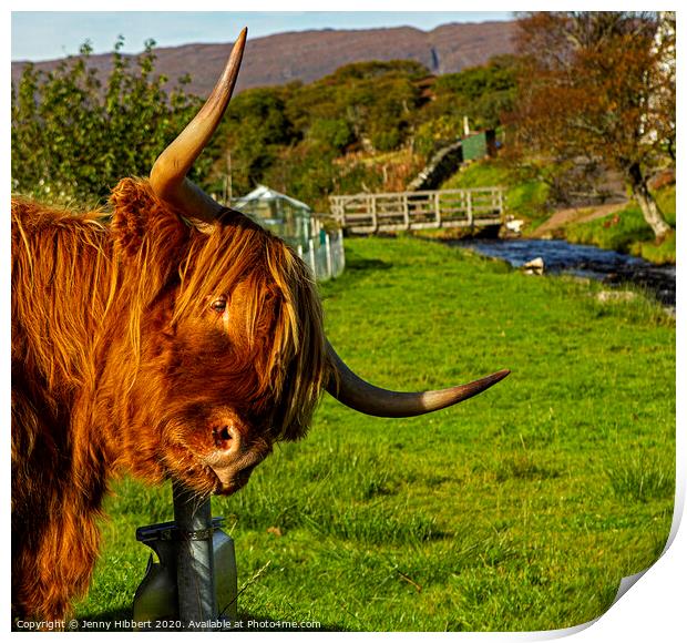 Highland cow enjoying a scratch on sign post Print by Jenny Hibbert
