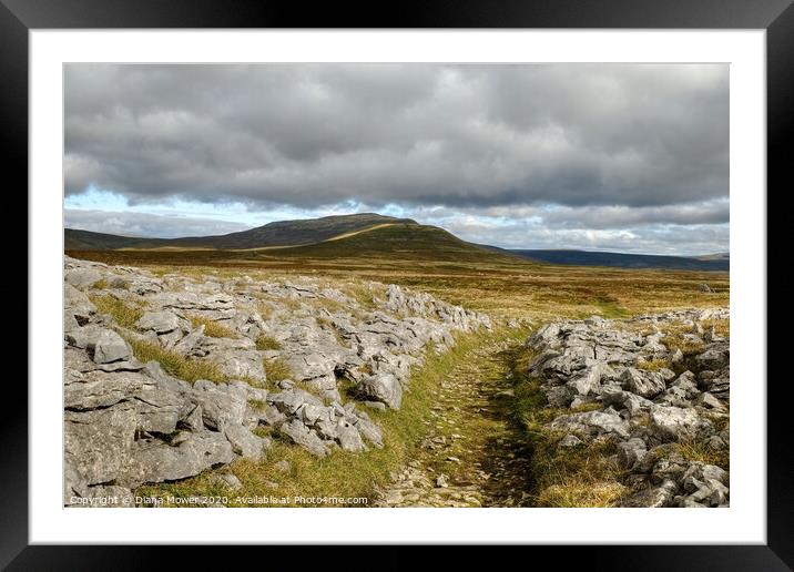 Twistleton Scar and Whernside Yorkshire Dales Framed Mounted Print by Diana Mower
