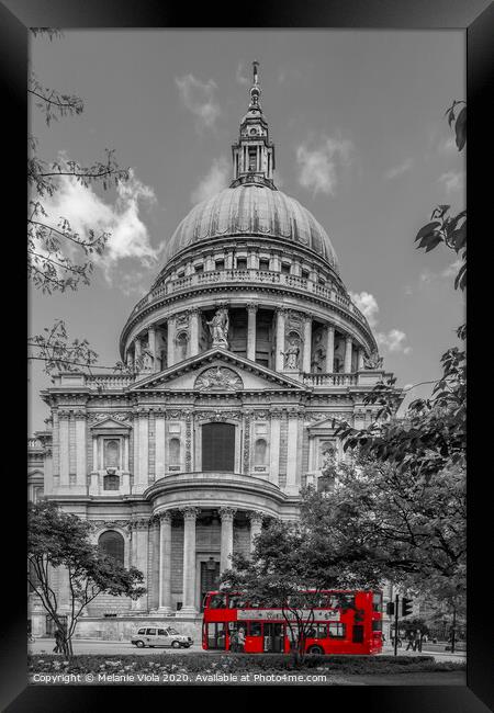 LONDON St. Paul’s Cathedral & Red Bus Framed Print by Melanie Viola
