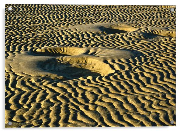 Sand Ripples Acrylic by Tim O'Brien
