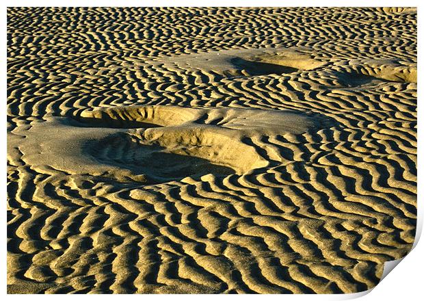 Sand Ripples Print by Tim O'Brien