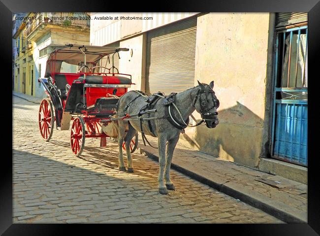 Horse and Carriage, Havana Cuba Framed Print by Laurence Tobin