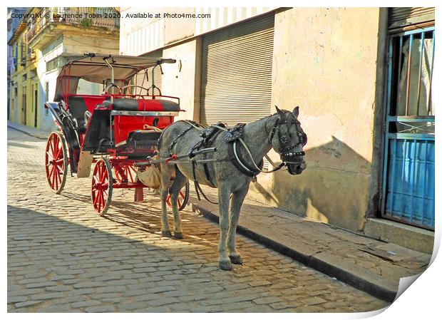 Horse and Carriage, Havana Cuba Print by Laurence Tobin