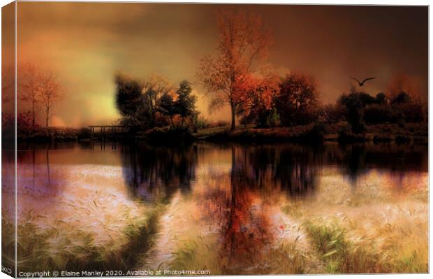 Autumn Splendor 2 Canvas Print by Elaine Manley