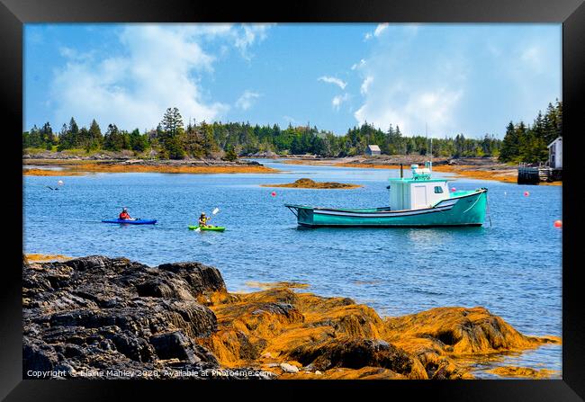 Lobster Boat and Kayakers Framed Print by Elaine Manley