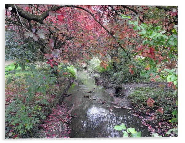 Autumnal Stream Acrylic by Pauline Raine