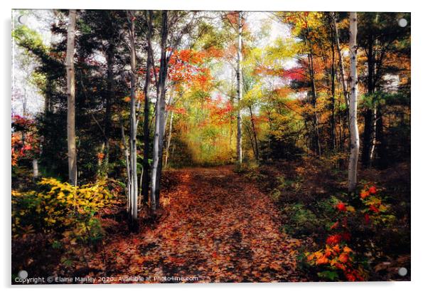 A Seasonal Forest Acrylic by Elaine Manley