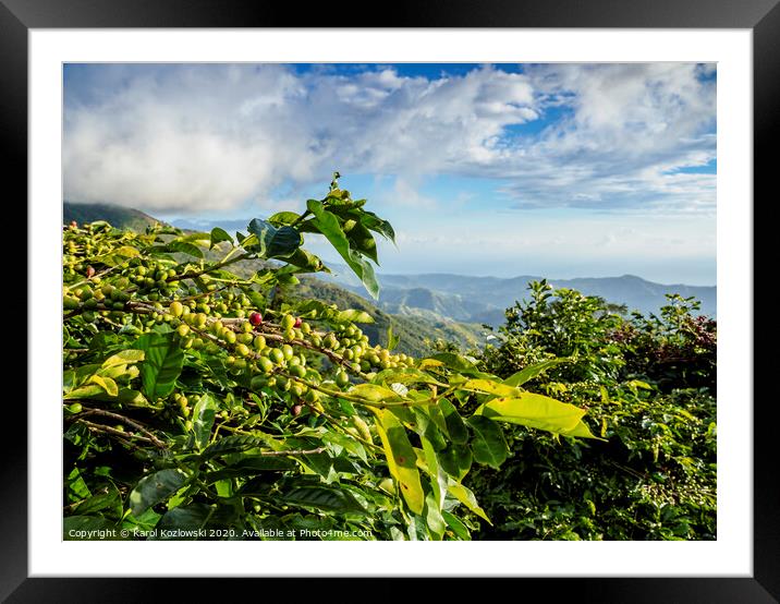 Blue Mountain Coffee Plantation, Jamaica Framed Mounted Print by Karol Kozlowski