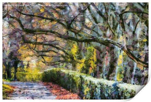 Sleepy Hollow In Autumn Monet Print by David Pyatt