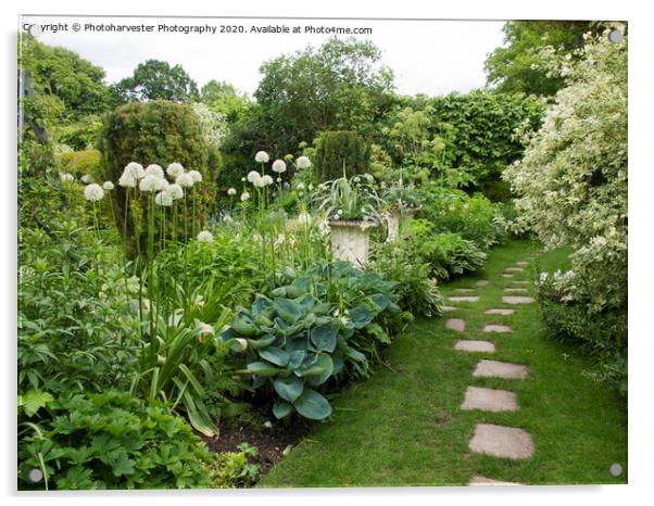 Chenies Manor White Garden in May Acrylic by Elizabeth Debenham