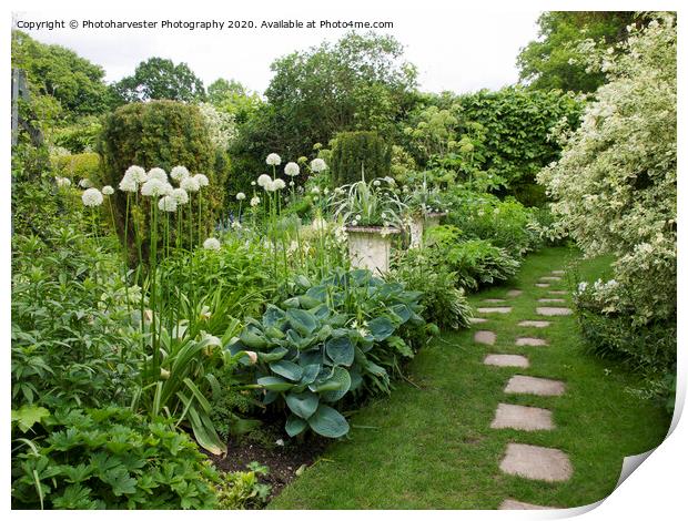 Chenies Manor White Garden in May Print by Elizabeth Debenham