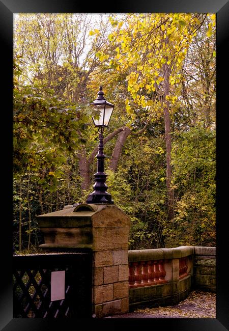 Lamppost in Autumn  Framed Print by Aimie Burley