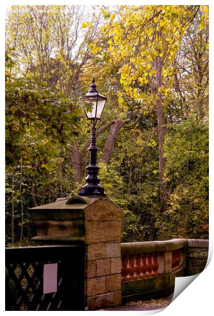 Lamppost in Autumn  Print by Aimie Burley