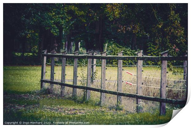 Wooden paddock fence Print by Ingo Menhard
