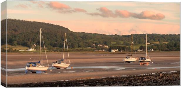 Waiting for the tide at Red Wharf Bay Canvas Print by Wendy Williams CPAGB