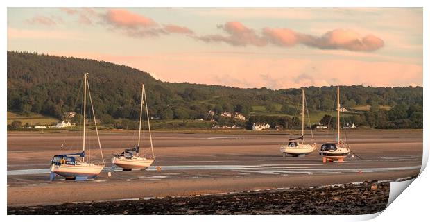 Waiting for the tide at Red Wharf Bay Print by Wendy Williams CPAGB