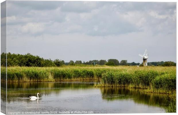 Swan on the Broads Canvas Print by Christopher Keeley