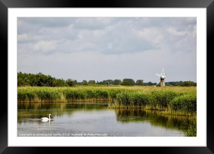 Swan on the Broads Framed Mounted Print by Christopher Keeley