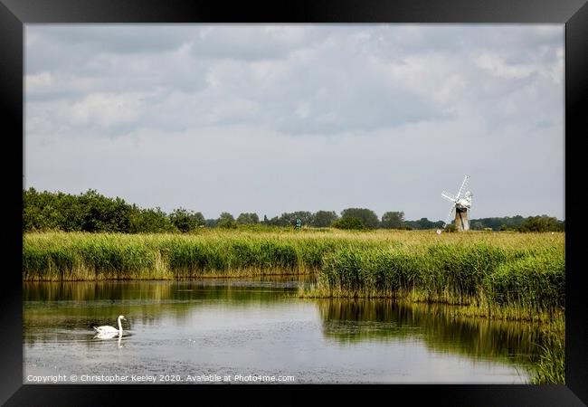 Swan on the Broads Framed Print by Christopher Keeley