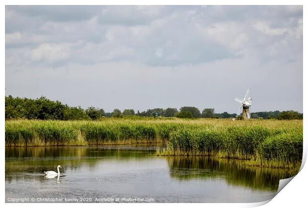 Swan on the Broads Print by Christopher Keeley