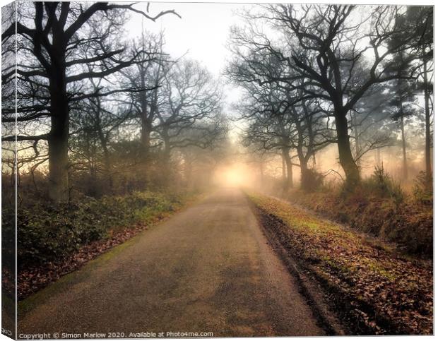 The road into the unknown taken at Burghfield Comm Canvas Print by Simon Marlow