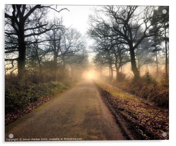 The road into the unknown taken at Burghfield Comm Acrylic by Simon Marlow