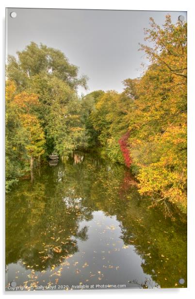 Autumn Wensum Style, Norwich Acrylic by Sally Lloyd