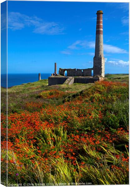 Chimney Remains at Levant Tin Mine in Cornwall Canvas Print by Chris Dorney