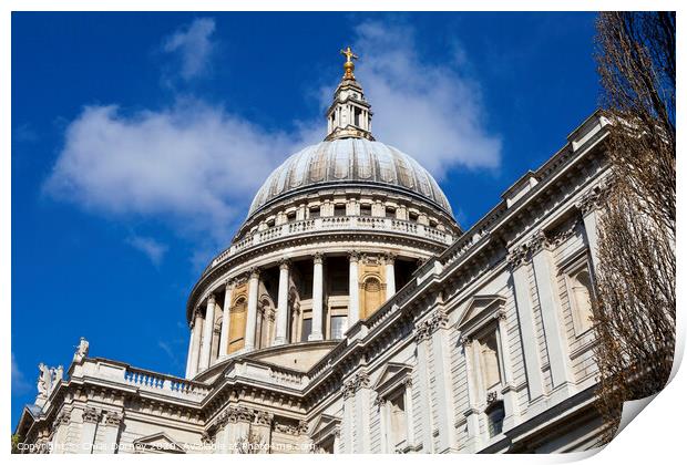 St. Paul's Cathedral in London Print by Chris Dorney